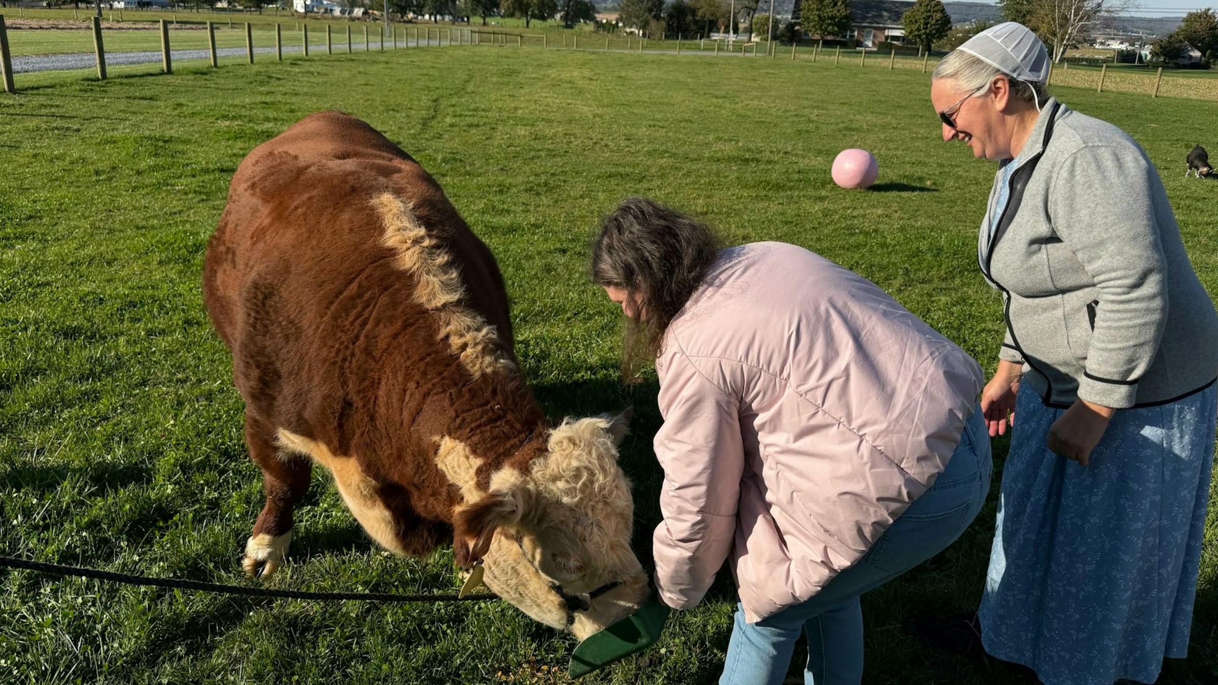 Backed by Amish and Mennonites, a new kind of gene therapy company takes shape