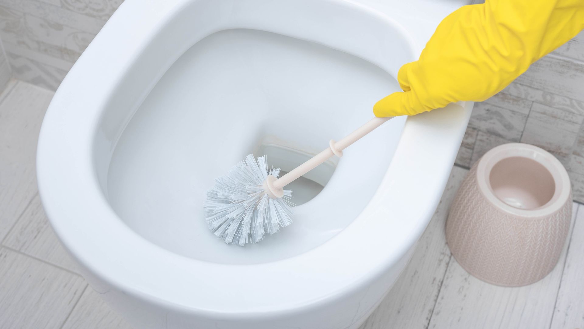 The real reason your toilet keeps getting a ring (and why bleach won't fix it)