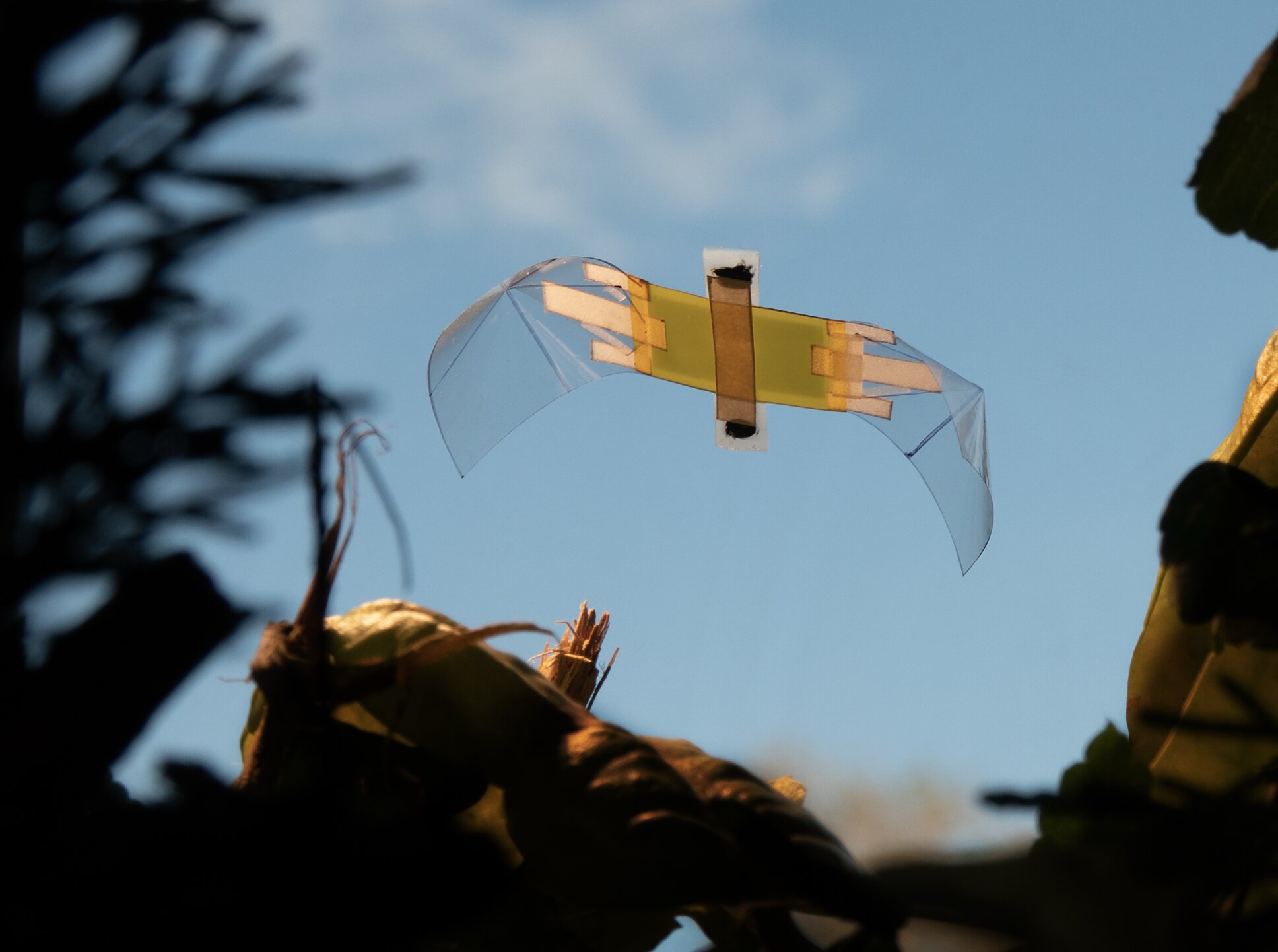 Insect-inspired flying robot bounces back after collisions