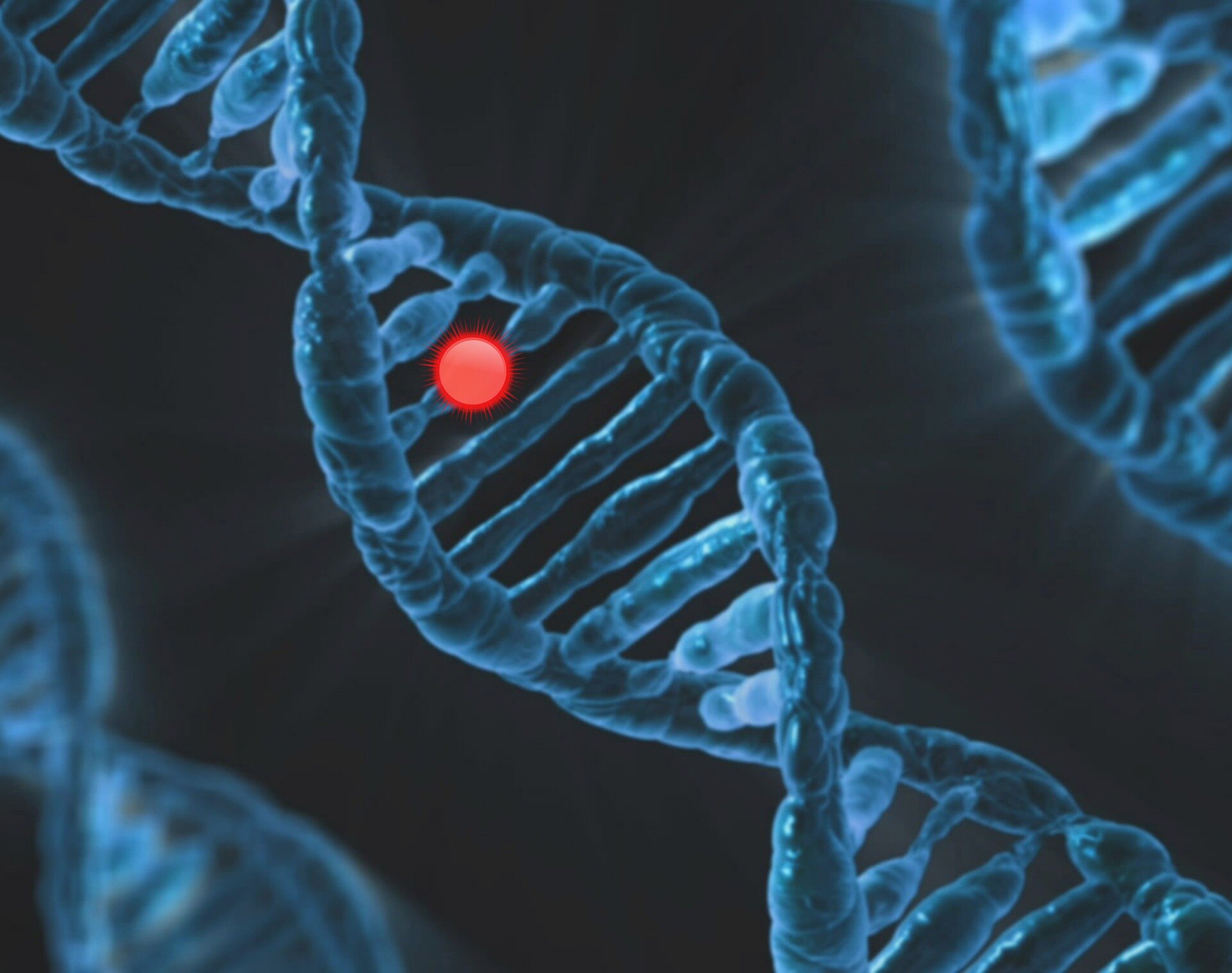 Unifying mechanism explains how common cancer mutations fuel growth