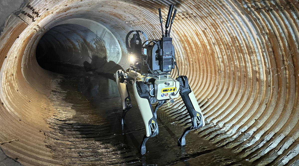 Boston Dynamics Workers Protest Use Of Robot Dogs By ICE
