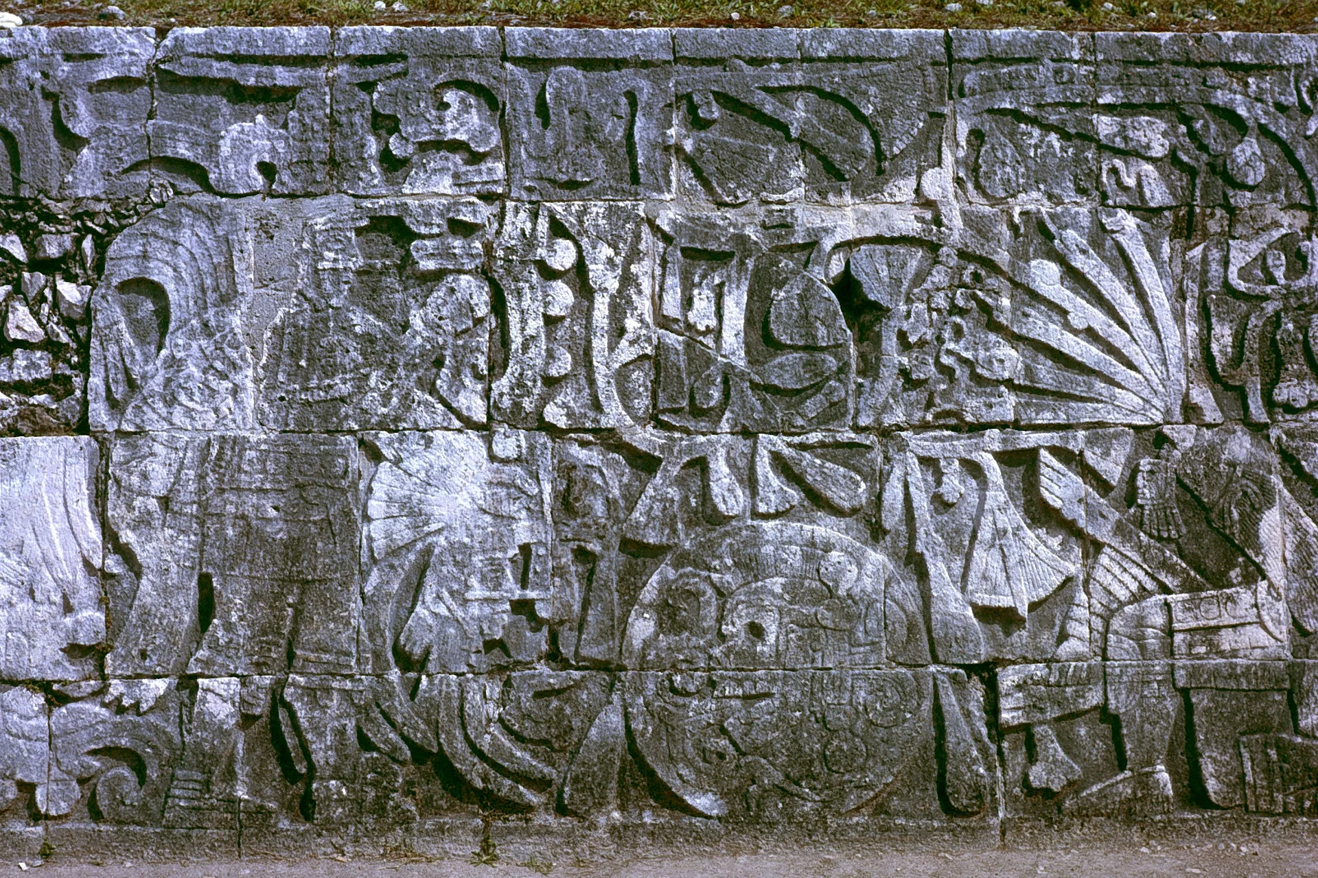 A Maya Woman Received Offerings of 226 Teeth For Centuries After Her Death