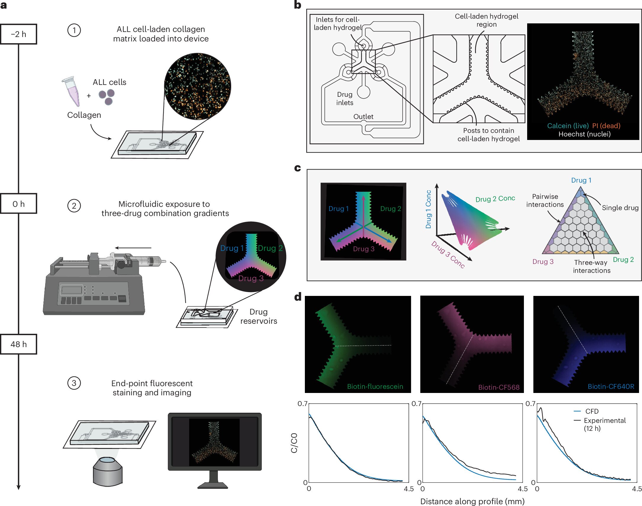 Lab-on-a-chip predicts which cancer treatments may work for pediatric acute lymphoblastic leukemia