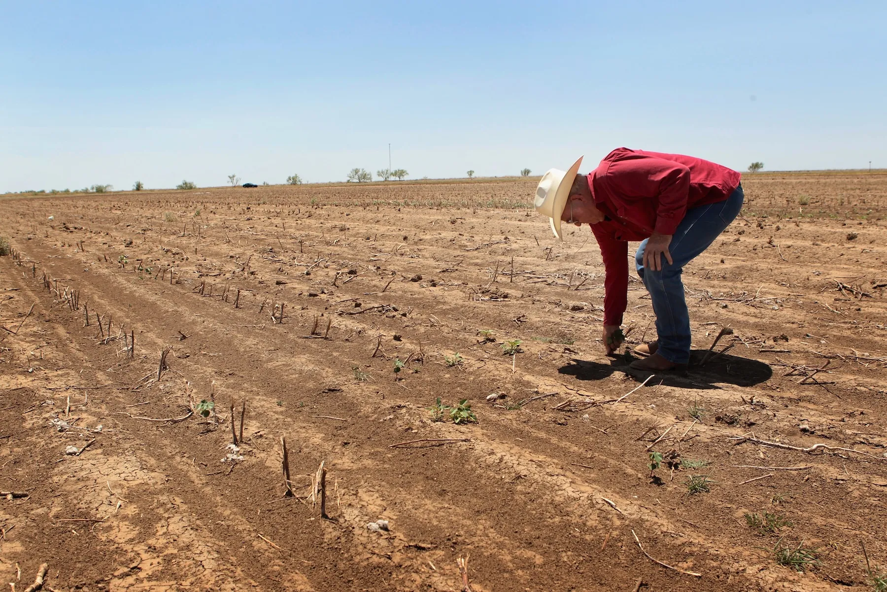 New Rules for Building Resilient Cotton Into Supply Chains