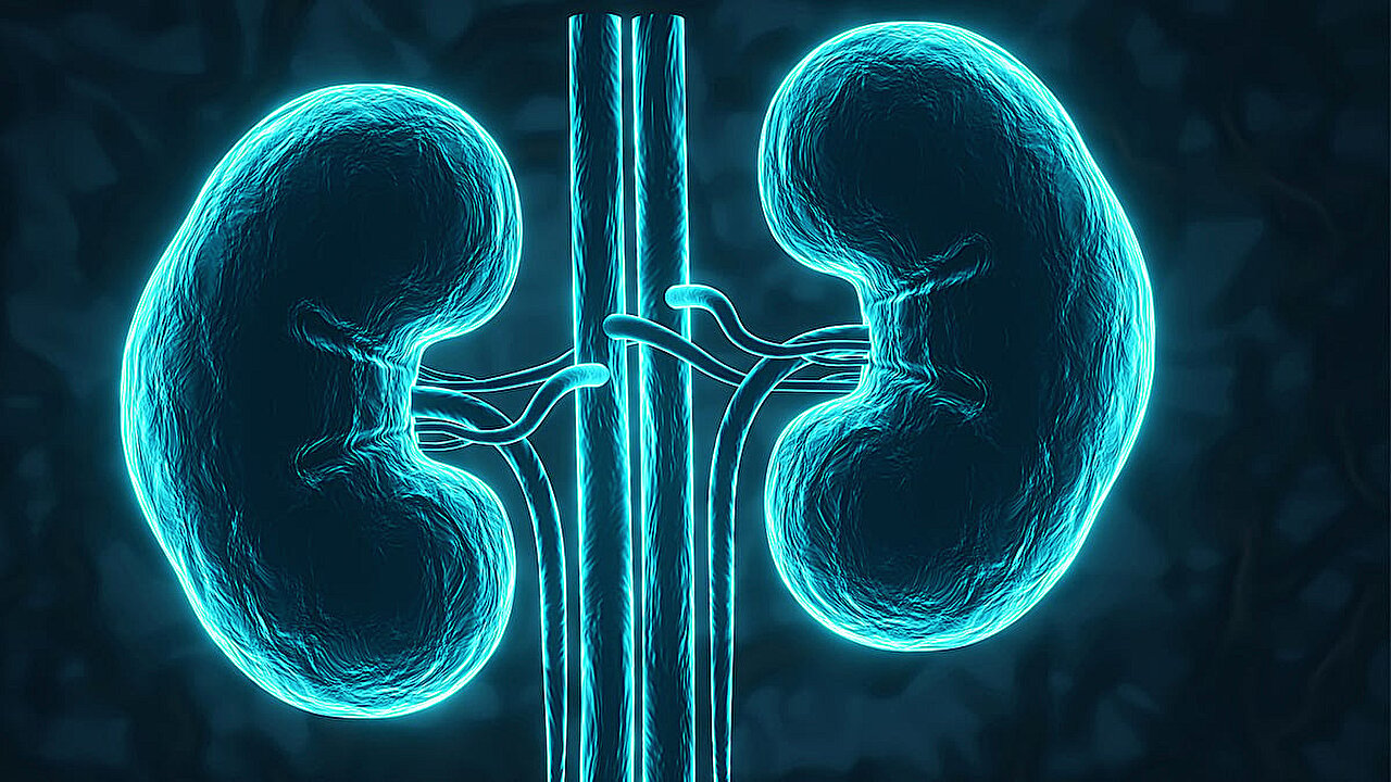 Video decision aid increases advance care planning in seniors with chronic kidney disease