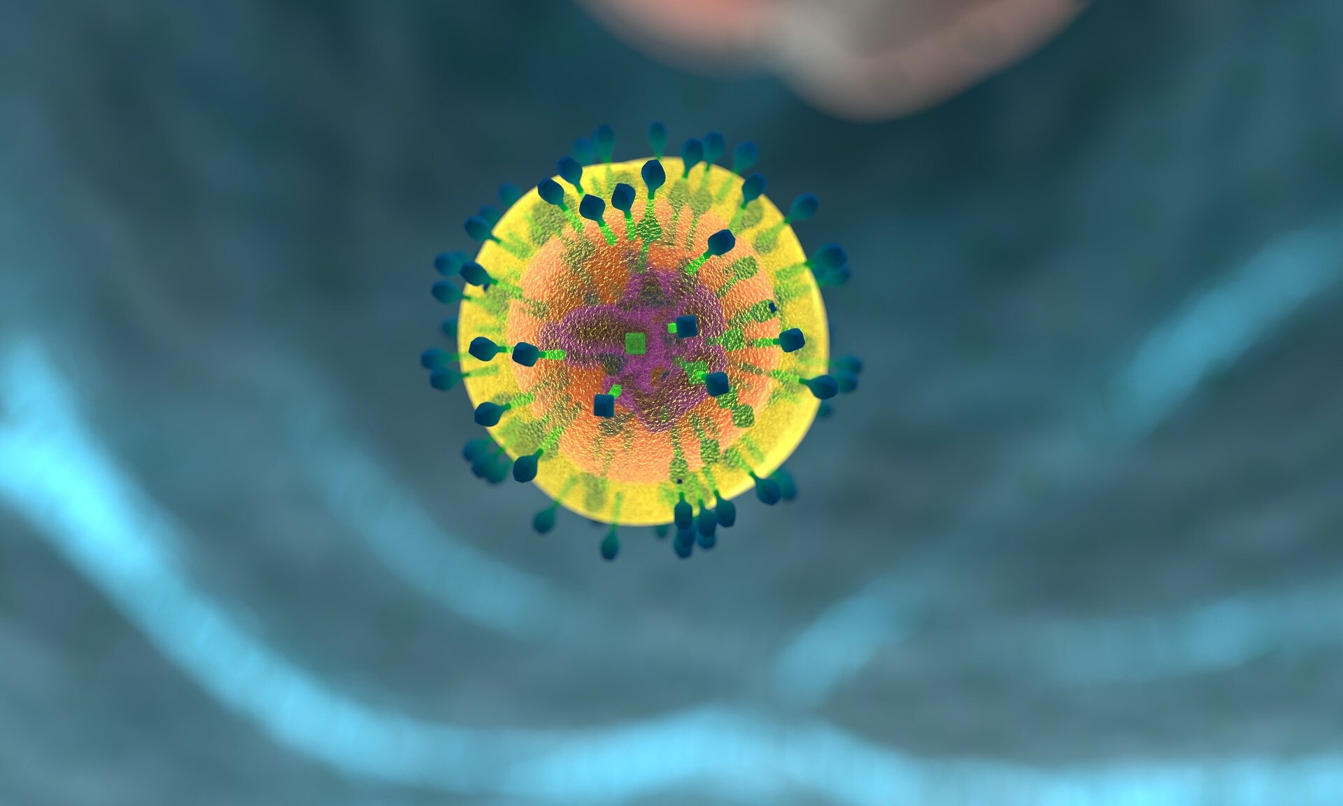 Immune changes linked to diabetes could guide development of new cancer treatments