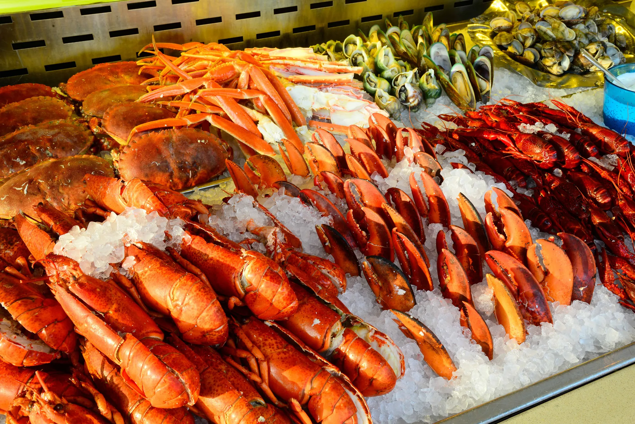 Minor Food Targets 4,500 Outlets by 2029 in Global Franchise Push