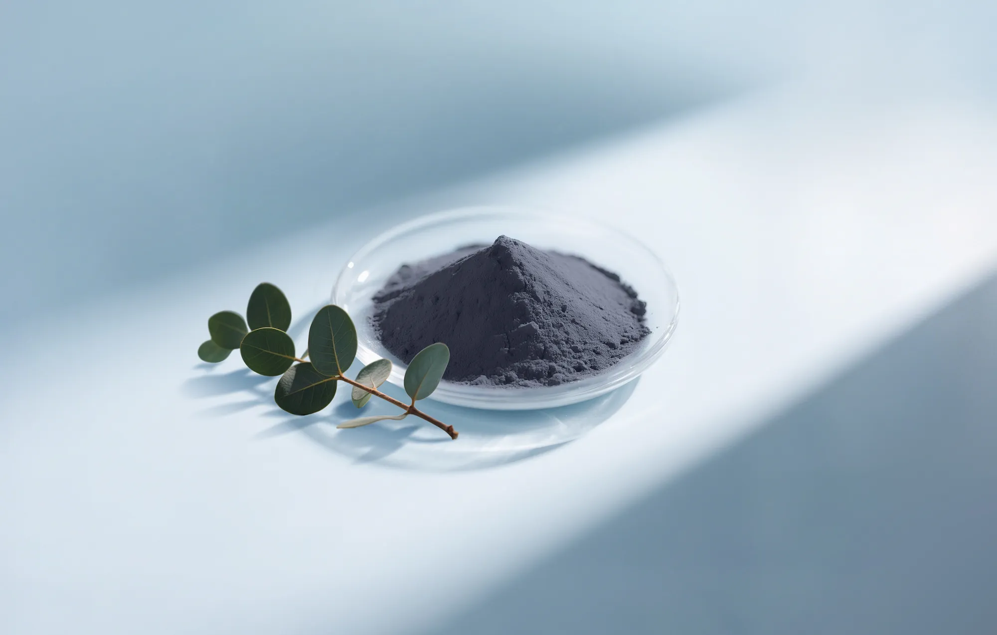 Chloris Works to Scale Bio-Based Dye Across Commercial Production