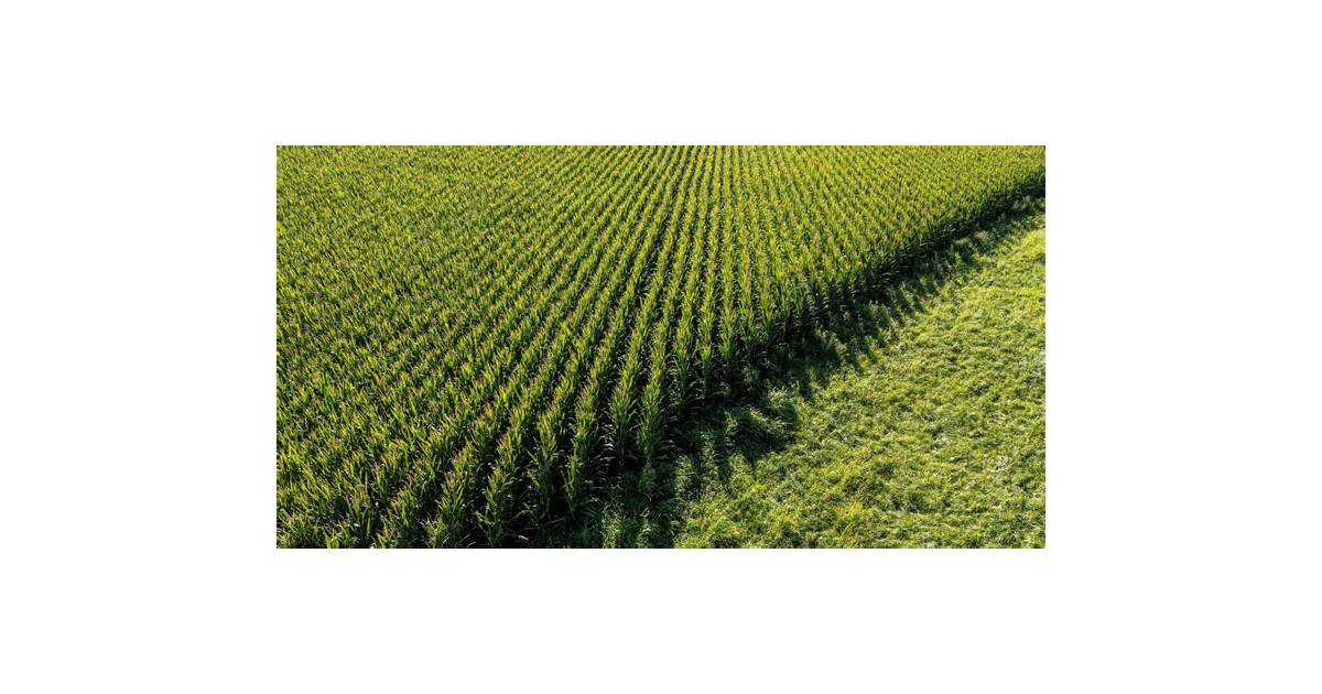 Farmer-funded attack ads targeting Republicans air across rural America