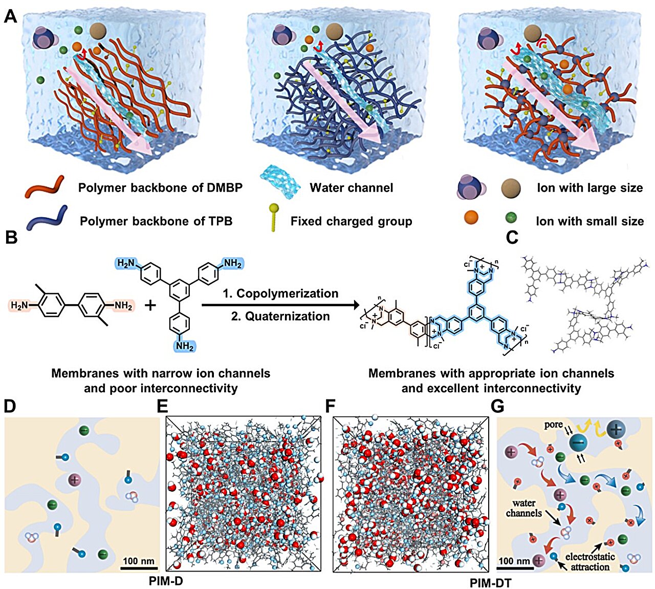 Angstrom-scale water channels help membranes recover lithium and purify salt