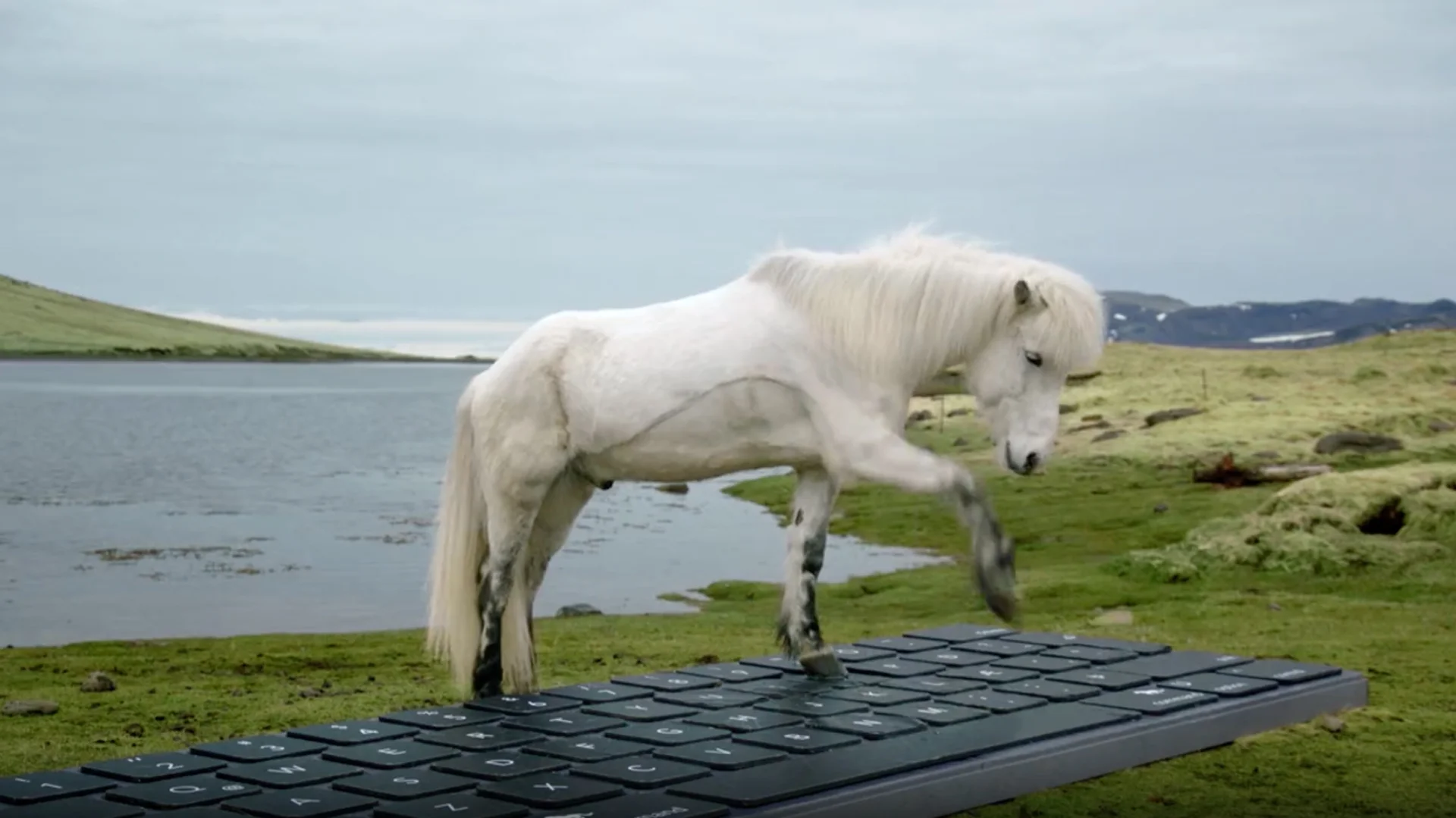 Escape the tyranny of AI notetakers and let these Icelandic knitters transcribe your meeting