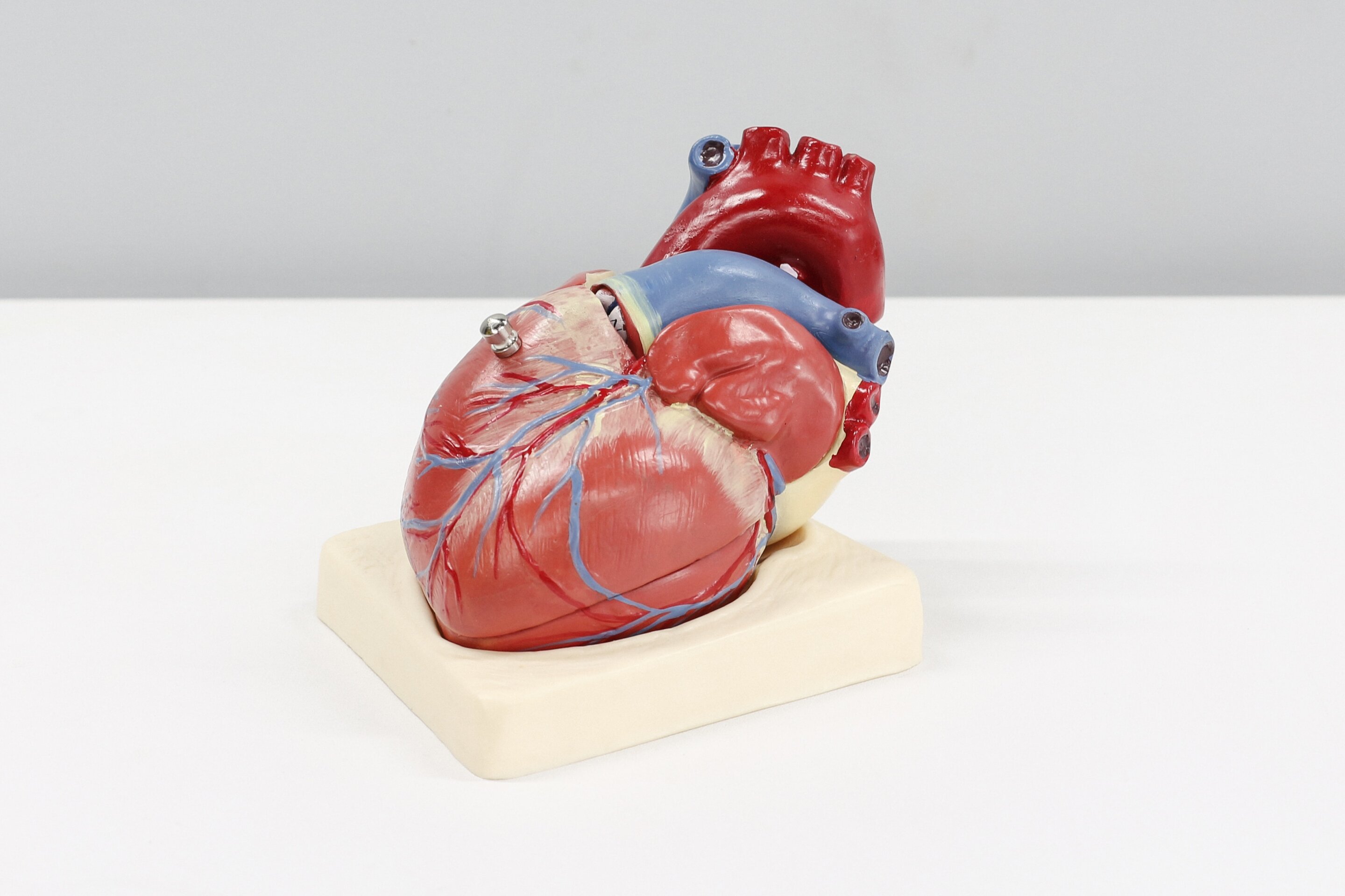 Lower serum total calcium linked to postdischarge outcomes in heart failure with preserved ejection fraction