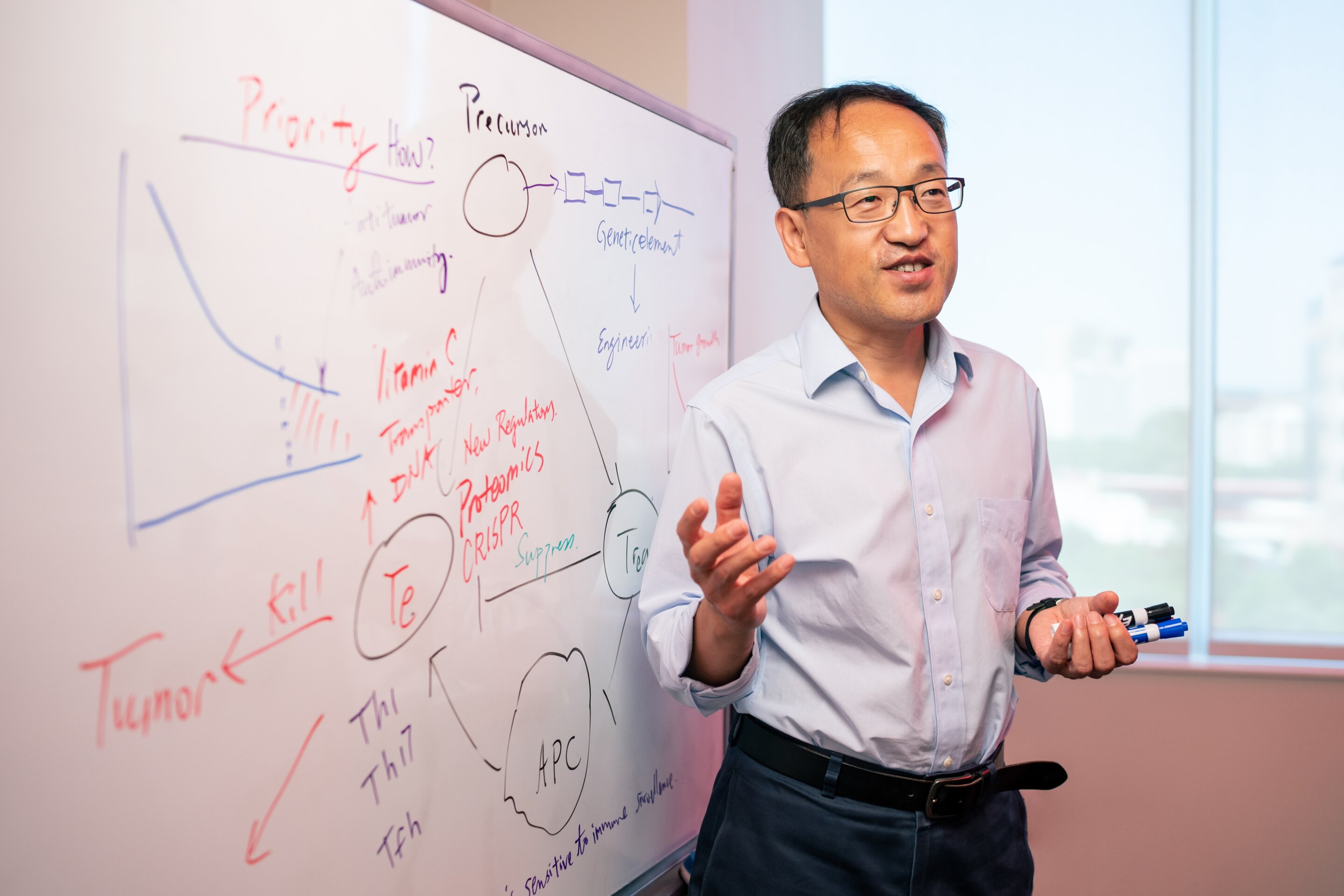 COMPASS pathway enables regulatory T cells to prevent devastating autoimmune responses to gut bacteria