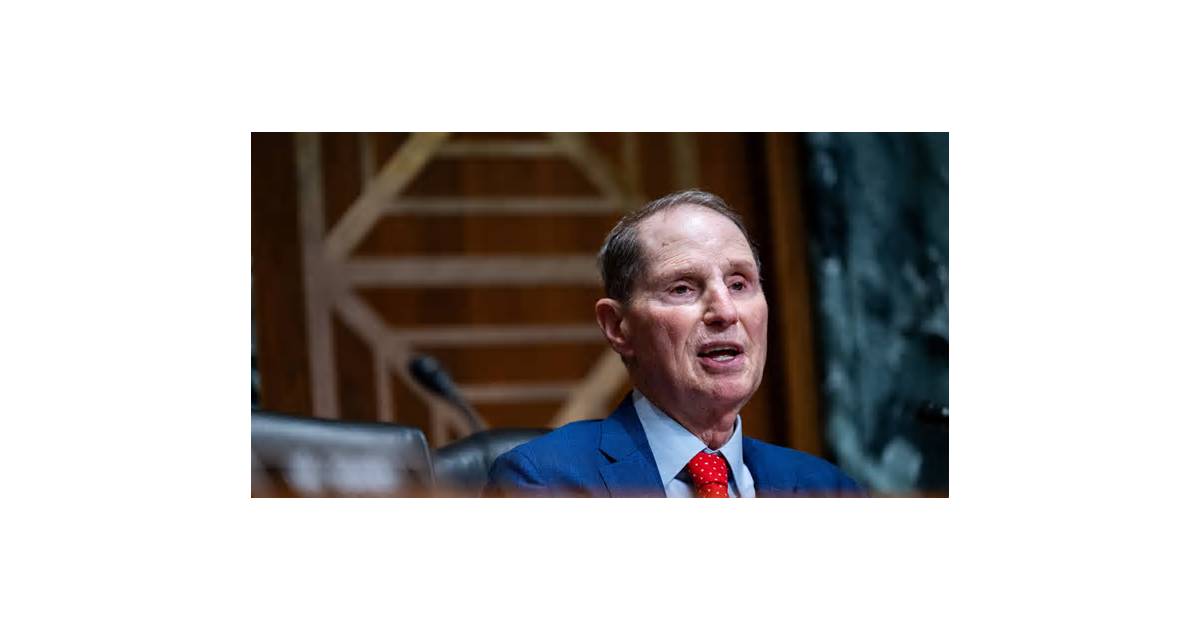 Private equity, data centers in crosshairs of US Senate Democrats, aide says