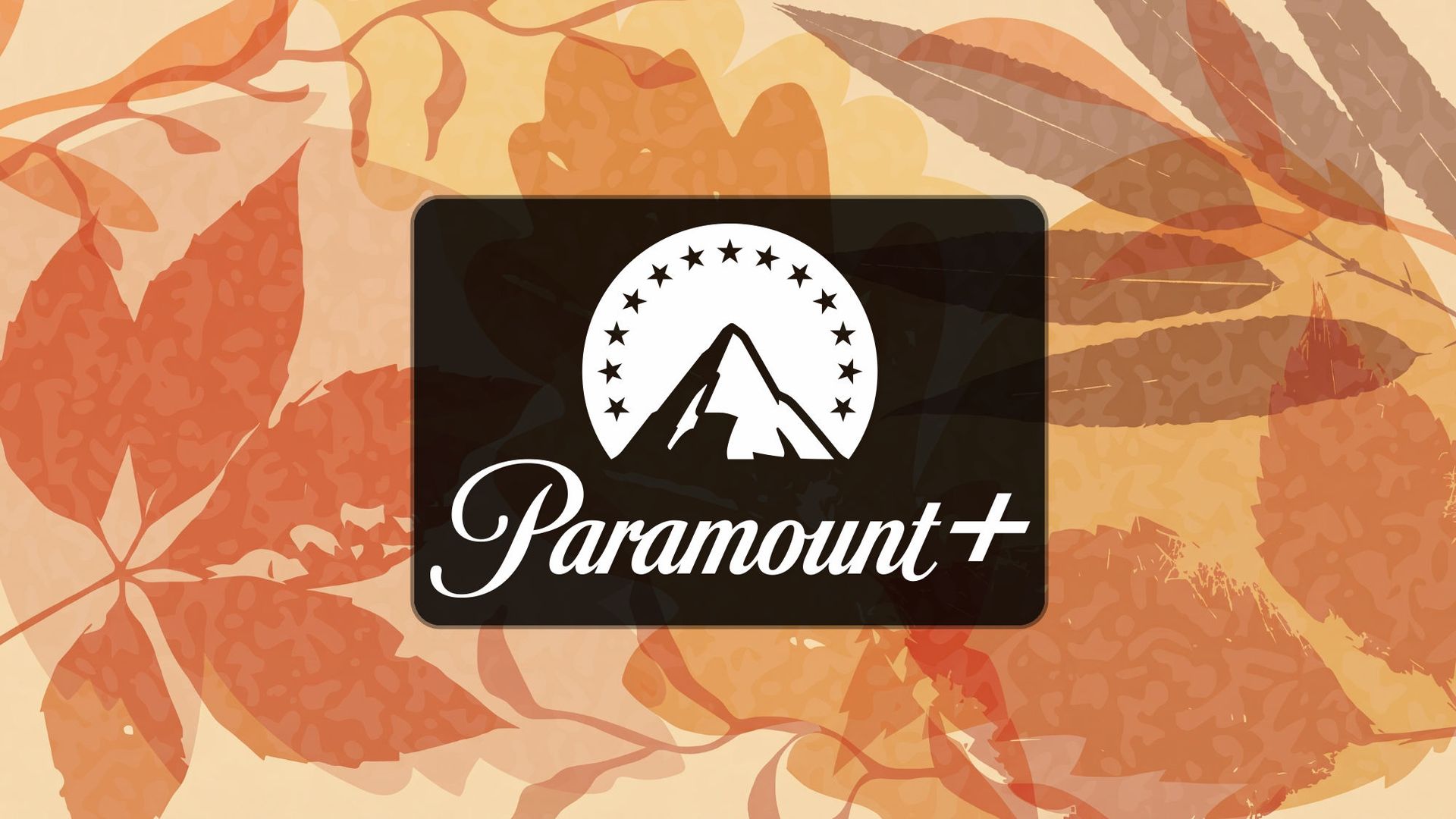 New on Paramount+ in November 2026: All the new shows and movies to watch