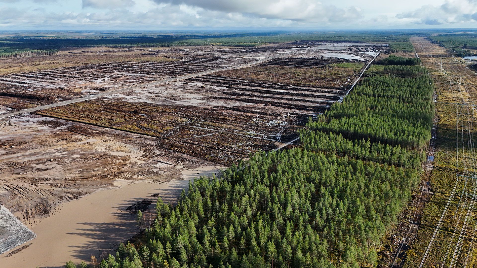 Google hit with criminal probe over unapproved AI data center deforestation