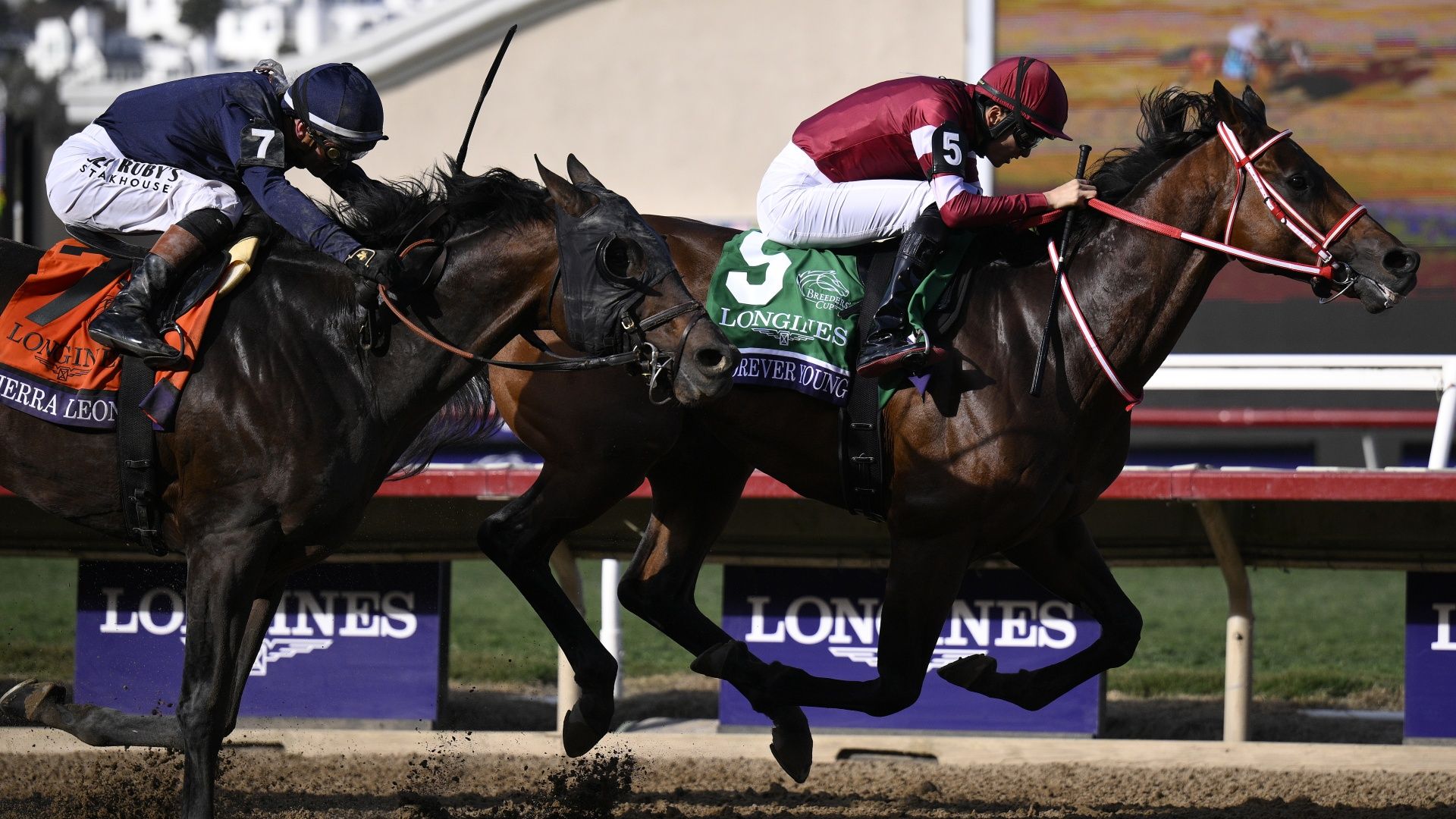 How to watch Breeders' Cup 2026: FREE live streams, schedule, preview