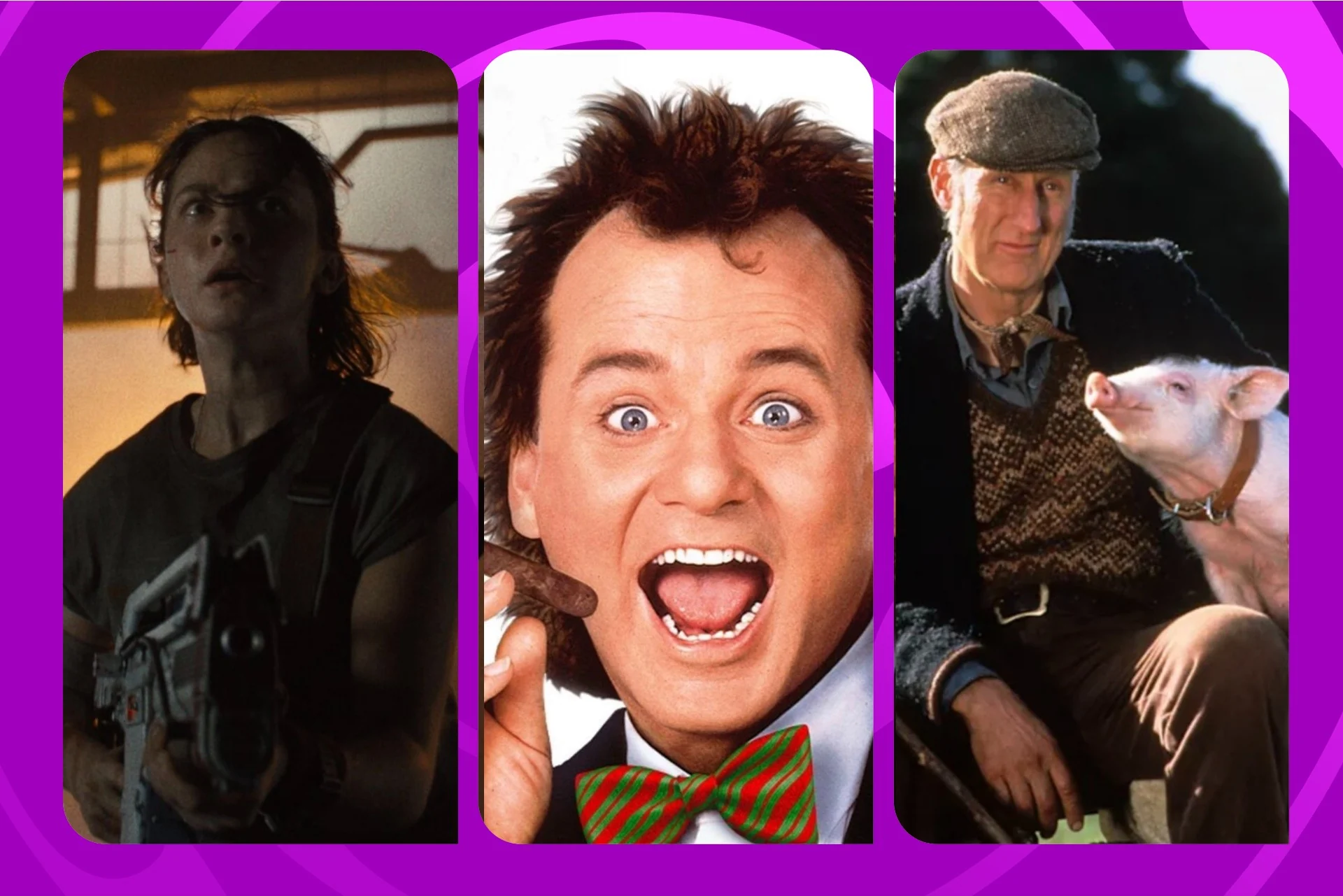 The Films and Shows You Should Be Streaming in November 2026