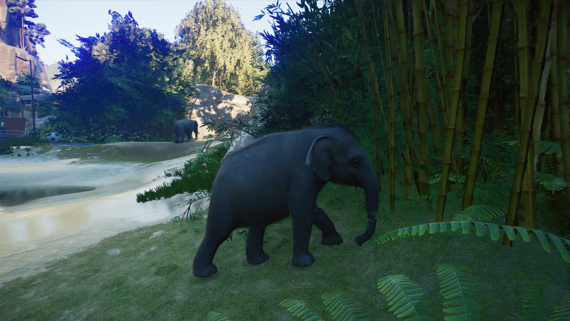 All Maps in Planet Zoo 2