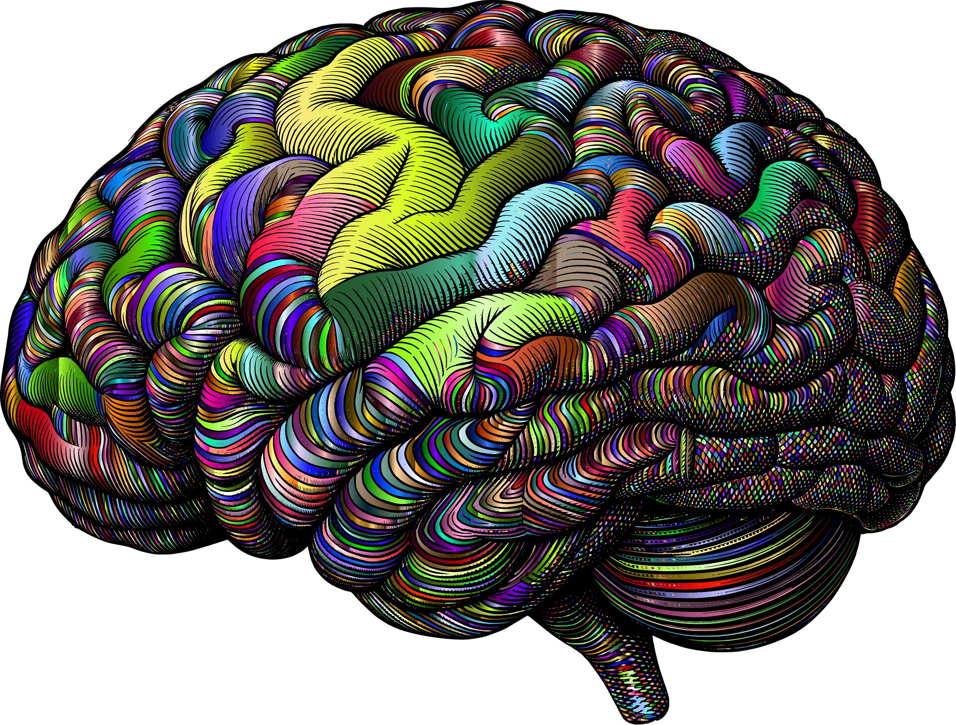 Team publishes largest-ever dataset on real-world psychedelic support interactions