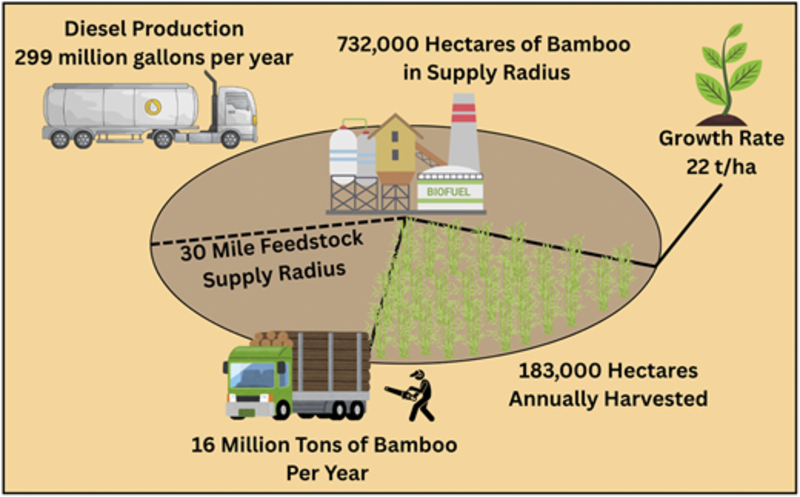 Fuel From Bamboo Costs Just $2.75 Per Gallon