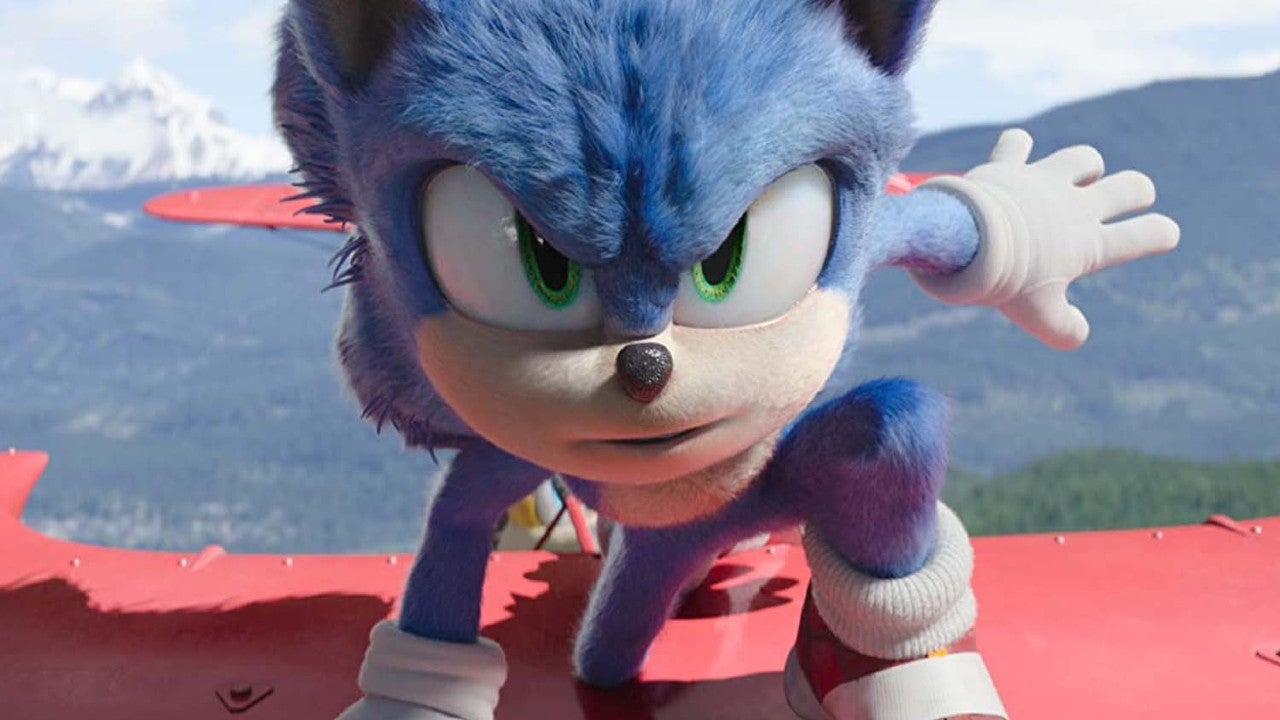 Hedgehog Dies After Being Spray Painted Blue to Look Like Sonic