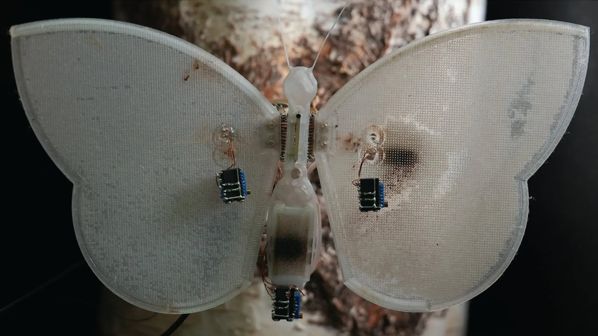 Scientists create moth-inspired robot that grows new senses using artificial blood, UV light