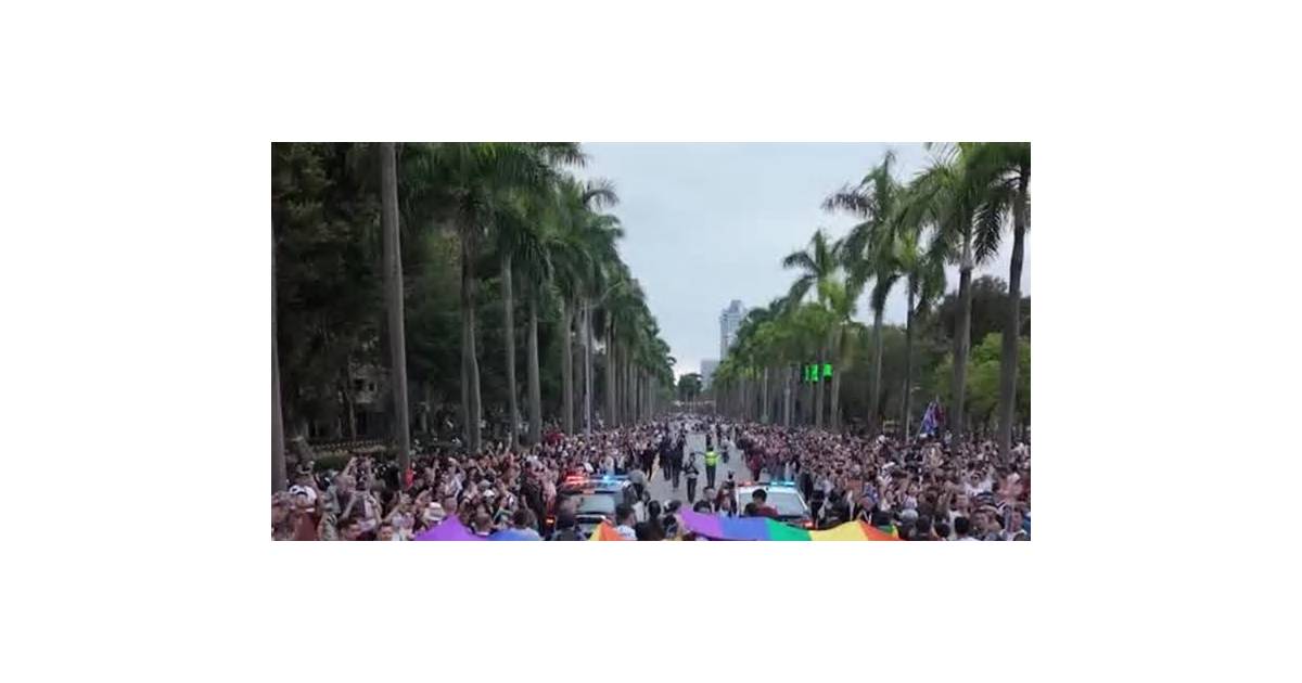 Thousands turn out to Taipei Pride urging support after gay bar raid